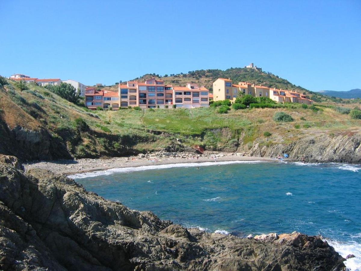 Appartement Avec Vue Sur Mer A Port Vendres 60 M² Balcons Zewnętrze zdjęcie